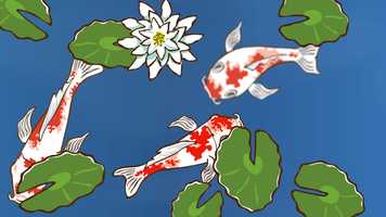 Free download Koi Fish Animation video and edit with RedcoolMedia movie maker MovieStudio video editor online and AudioStudio audio editor onlin