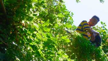 Free download Koi - S.I.N. Part II Music Video video and edit with RedcoolMedia movie maker MovieStudio video editor online and AudioStudio audio editor onlin