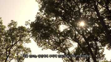 Free download Korean trailer.mp4 video and edit with RedcoolMedia movie maker MovieStudio video editor online and AudioStudio audio editor onlin