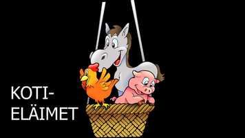 Free download KOTIELIMET, domesticated animals video and edit with RedcoolMedia movie maker MovieStudio video editor online and AudioStudio audio editor onlin