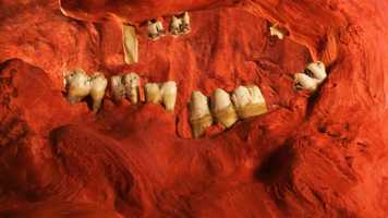 Free download Kąpiel ząbkw // Teeth bath video and edit with RedcoolMedia movie maker MovieStudio video editor online and AudioStudio audio editor onlin