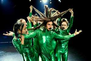 Free download KRITTER 2019 - Trailer / BODHI PROJECT  Stephanie Thiersch video and edit with RedcoolMedia movie maker MovieStudio video editor online and AudioStudio audio editor onlin