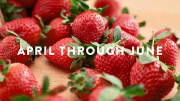 Free download Kroger_Learning about Strawberries_Kitchen 101 video and edit with RedcoolMedia movie maker MovieStudio video editor online and AudioStudio audio editor onlin