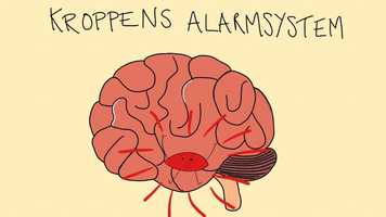 Free download Kroppens alarmsystem (dame) video and edit with RedcoolMedia movie maker MovieStudio video editor online and AudioStudio audio editor onlin