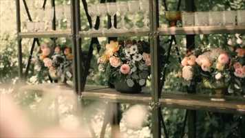 Free download KTC Intro video and edit with RedcoolMedia movie maker MovieStudio video editor online and AudioStudio audio editor onlin