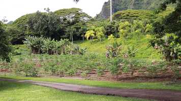 Free download Kualoa Aquaculture Mini Documentary---2020 Winner video and edit with RedcoolMedia movie maker MovieStudio video editor online and AudioStudio audio editor onlin