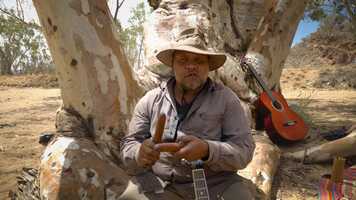 Free download Kututu Wattleseeds_MHACA 2020.mp4 video and edit with RedcoolMedia movie maker MovieStudio video editor online and AudioStudio audio editor onlin