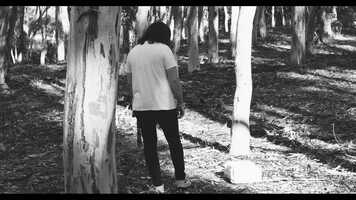 Free download Kyle Ethan Ross Meshes video and edit with RedcoolMedia movie maker MovieStudio video editor online and AudioStudio audio editor onlin