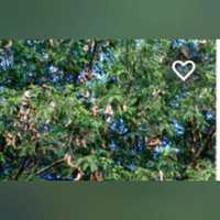 Free download L-5 A New Friend. video and edit with RedcoolMedia movie maker MovieStudio video editor online and AudioStudio audio editor onlin