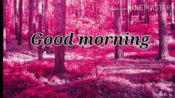 Free download L. - 8 pg. - 20 q. no. - E video and edit with RedcoolMedia movie maker MovieStudio video editor online and AudioStudio audio editor onlin