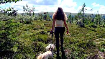 Free download Laban film kort.mp4 video and edit with RedcoolMedia movie maker MovieStudio video editor online and AudioStudio audio editor onlin