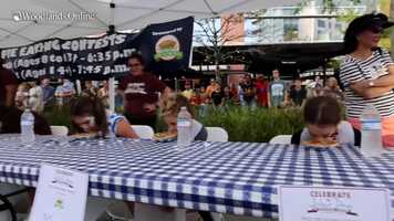 Free download Labor Day Celebration in The Woodlands - Fireworks Sh video and edit with RedcoolMedia movie maker MovieStudio video editor online and AudioStudio audio editor onlin