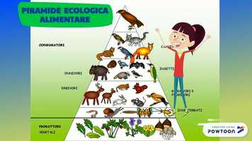 Free download La catena alimentare video and edit with RedcoolMedia movie maker MovieStudio video editor online and AudioStudio audio editor onlin