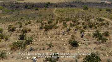 Free download La Dama Revolution (ENG Subs) video and edit with RedcoolMedia movie maker MovieStudio video editor online and AudioStudio audio editor onlin