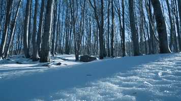 Free download La falena bianca video and edit with RedcoolMedia movie maker MovieStudio video editor online and AudioStudio audio editor onlin