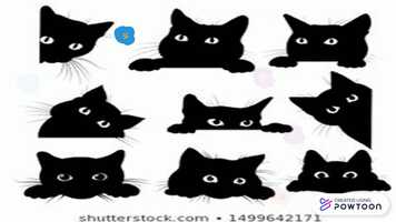 Free download La gatita Chofi, no quiere dormir video and edit with RedcoolMedia movie maker MovieStudio video editor online and AudioStudio audio editor onlin