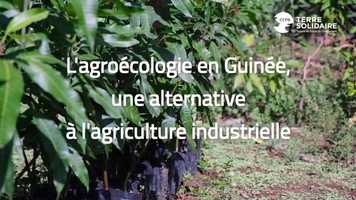 Free download Lagrocologie en Guine, une alternative  lagriculture industrielle video and edit with RedcoolMedia movie maker MovieStudio video editor online and AudioStudio audio editor onlin