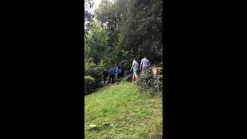 Free download Lake District 2020 video and edit with RedcoolMedia movie maker MovieStudio video editor online and AudioStudio audio editor onlin