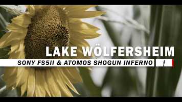 Free download Lake Wlfersheim in warm and humid August - Sony FS5II | Atomos Shogun Inferno - Wlfersheimer See video and edit with RedcoolMedia movie maker MovieStudio video editor online and AudioStudio audio editor onlin
