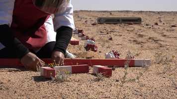 Free download LALGAM | Official Trailer video and edit with RedcoolMedia movie maker MovieStudio video editor online and AudioStudio audio editor onlin