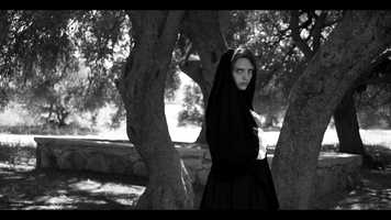 Free download LA LUPA (La Louve) - Trailer 2020 video and edit with RedcoolMedia movie maker MovieStudio video editor online and AudioStudio audio editor onlin