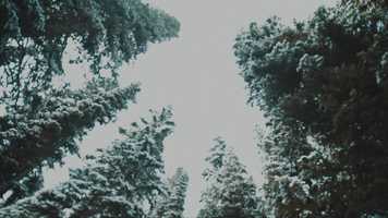 Free download Lanas Birthday video and edit with RedcoolMedia movie maker MovieStudio video editor online and AudioStudio audio editor onlin