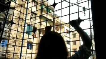 Free download Landscape Of Soul || Tong Isolation Diary video and edit with RedcoolMedia movie maker MovieStudio video editor online and AudioStudio audio editor onlin