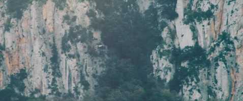 Free download Lanvin A Girl In Capri video and edit with RedcoolMedia movie maker MovieStudio video editor online and AudioStudio audio editor onlin