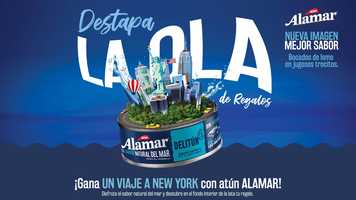 Free download La ola del sabor Alamar video and edit with RedcoolMedia movie maker MovieStudio video editor online and AudioStudio audio editor onlin