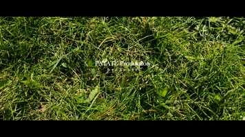 Free download La-pelle-de-la-jungle video and edit with RedcoolMedia movie maker MovieStudio video editor online and AudioStudio audio editor onlin