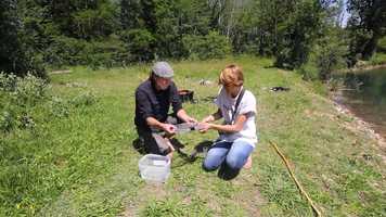 Free download La photographie autour de leau avec Naturama video and edit with RedcoolMedia movie maker MovieStudio video editor online and AudioStudio audio editor onlin