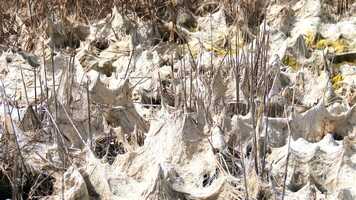 Free download Larry Achiampong  David Blandy, Finding Fanon Part 3 video and edit with RedcoolMedia movie maker MovieStudio video editor online and AudioStudio audio editor onlin