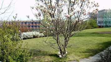 Free download La sorcire du dimanche.mp4 video and edit with RedcoolMedia movie maker MovieStudio video editor online and AudioStudio audio editor onlin