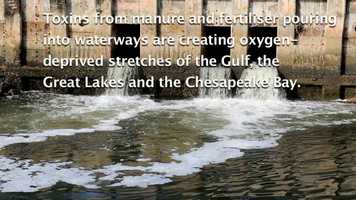 Free download Last Call For Tomorrow Trailer Gary Null Production.mp4 video and edit with RedcoolMedia movie maker MovieStudio video editor online and AudioStudio audio editor onlin