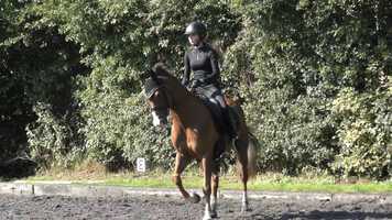 Free download lauren geraghty video and edit with RedcoolMedia movie maker MovieStudio video editor online and AudioStudio audio editor onlin