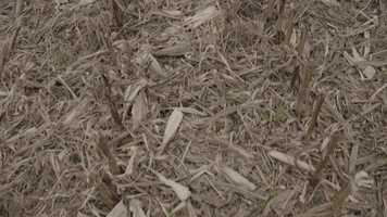 Free download Layers of Material and Immaterial video and edit with RedcoolMedia movie maker MovieStudio video editor online and AudioStudio audio editor onlin