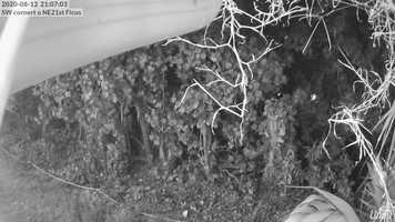 Free download Lazy lake White noise video and edit with RedcoolMedia movie maker MovieStudio video editor online and AudioStudio audio editor onlin