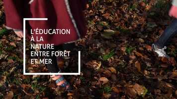 Free download LDUCATION  LA NATURE video and edit with RedcoolMedia movie maker MovieStudio video editor online and AudioStudio audio editor onlin