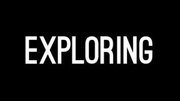 Free download LEAF 2019 Trailer video and edit with RedcoolMedia movie maker MovieStudio video editor online and AudioStudio audio editor onlin