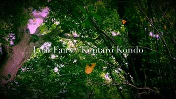 Free download Leaf Fairy video and edit with RedcoolMedia movie maker MovieStudio video editor online and AudioStudio audio editor onlin