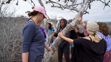 Free download Leah-Ecuador AG video and edit with RedcoolMedia movie maker MovieStudio video editor online and AudioStudio audio editor onlin