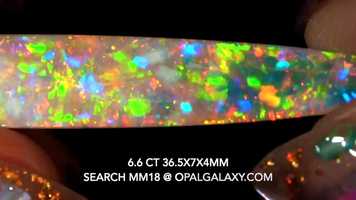 Free download Learn About Belemnite Squid Fossil Opal video and edit with RedcoolMedia movie maker MovieStudio video editor online and AudioStudio audio editor onlin