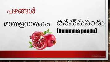 Free download Learn how to pronounce fruits in Telugu from Malayalam language video and edit with RedcoolMedia movie maker MovieStudio video editor online and AudioStudio audio editor onlin