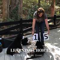 Free download Learning Choices video and edit with RedcoolMedia movie maker MovieStudio video editor online and AudioStudio audio editor onlin