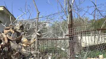 Free download Le Bal dHadès trailer eng video and edit with RedcoolMedia movie maker MovieStudio video editor online and AudioStudio audio editor onlin