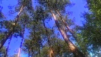 Free download Le bruit des vagues video and edit with RedcoolMedia movie maker MovieStudio video editor online and AudioStudio audio editor onlin