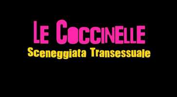 Free download LE COCCINELLE - SCENEGGIATA TRANSESSUALE TRAILER video and edit with RedcoolMedia movie maker MovieStudio video editor online and AudioStudio audio editor onlin