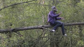 Free download Le Corbeau et le ptard (2017) video and edit with RedcoolMedia movie maker MovieStudio video editor online and AudioStudio audio editor onlin