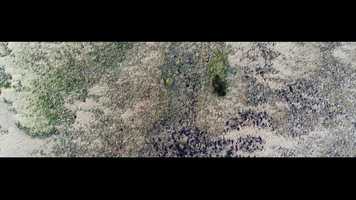 Free download le dOlron video and edit with RedcoolMedia movie maker MovieStudio video editor online and AudioStudio audio editor onlin