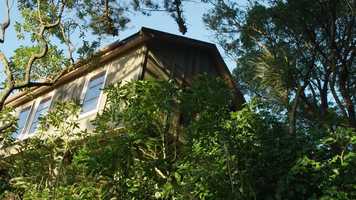 Free download Left Alone Trailer(Showreel) video and edit with RedcoolMedia movie maker MovieStudio video editor online and AudioStudio audio editor onlin